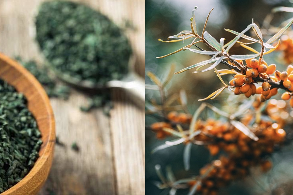 Duo spiruline/argousier pour garder la forme et affronter l’hiver en confiance ❄️
